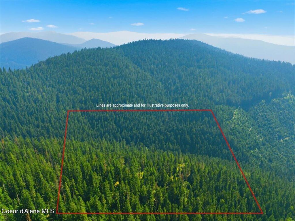NKA 40 AC USFS 610 Rd, Hayden, ID 83835 photo 1