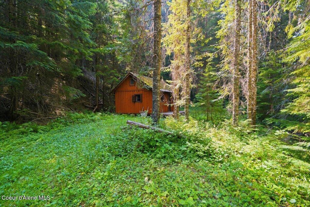 NKA 40 AC USFS 610 Rd, Hayden, ID 83835 photo 3