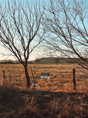 Lot 36 Sportsman Drive, Santo, TX 76067