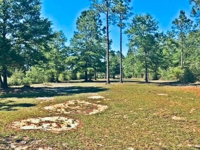 Lot 33 Caswell Drive, Defuniak Springs, FL 32433