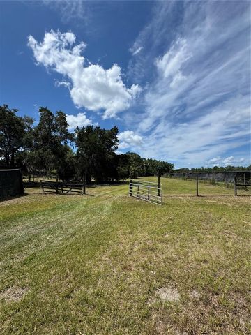850 MENTON ROAD, Pierson, FL 32180