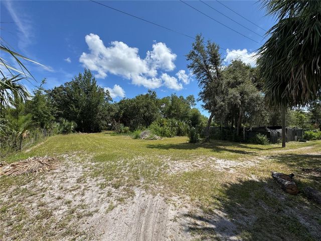 850 MENTON ROAD, Pierson, FL 32180