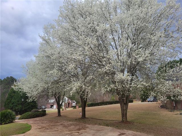 190 Baywatch Circle, Fayetteville, GA 30215