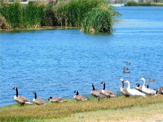 330 Sky Harbor, Aguanga, CA 92536