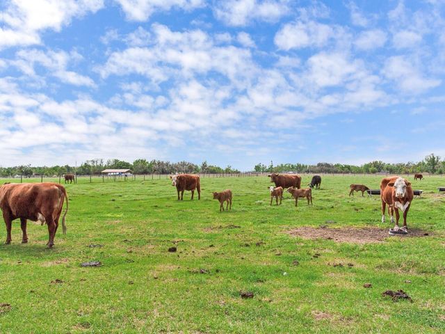 15721 COLDING LOOP, Wimauma, FL 33598