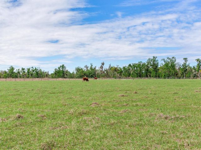 15721 COLDING LOOP, Wimauma, FL 33598