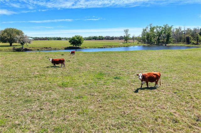 15721 COLDING LOOP, Wimauma, FL 33598