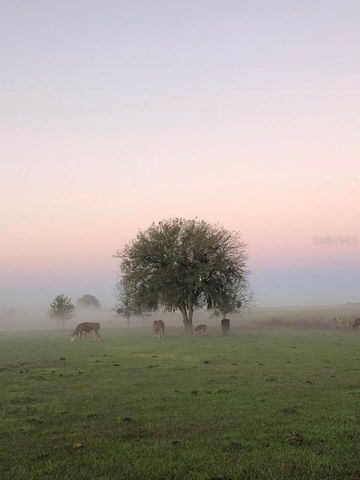 15721 COLDING LOOP, Wimauma, FL 33598