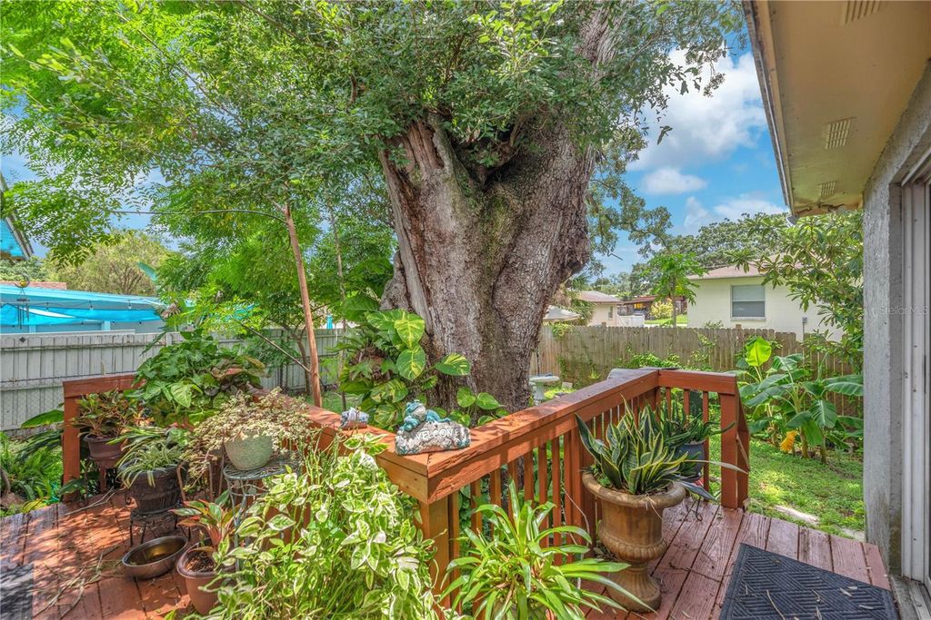 Image 22 of property listing at 2114 W HANNA AVENUE, Tampa, FL 33604