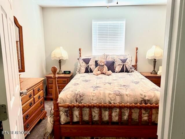 1100 Barker Drive, White Pine, TN 37890