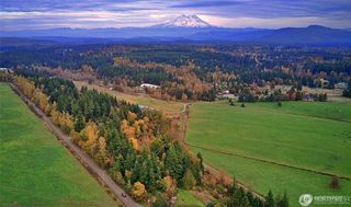 19441 Cougar Mountain Airport Road SE, Yelm, WA 98597