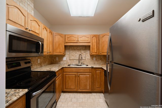 1 Towers Park Ln Apt 1703, San Antonio, TX 78209