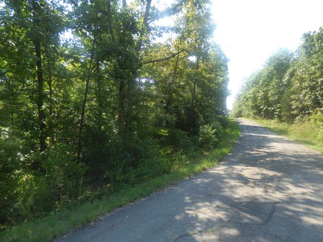Okfuskee Lane, Cherokee Village, AR 72529