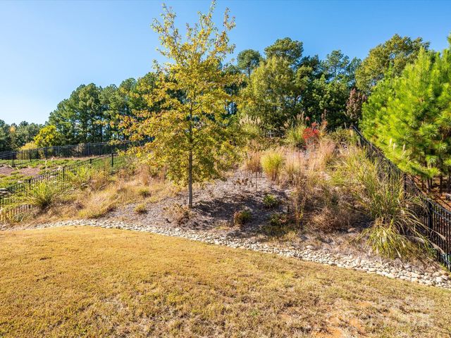 11017 Spritz Street, Huntersville, NC 28078