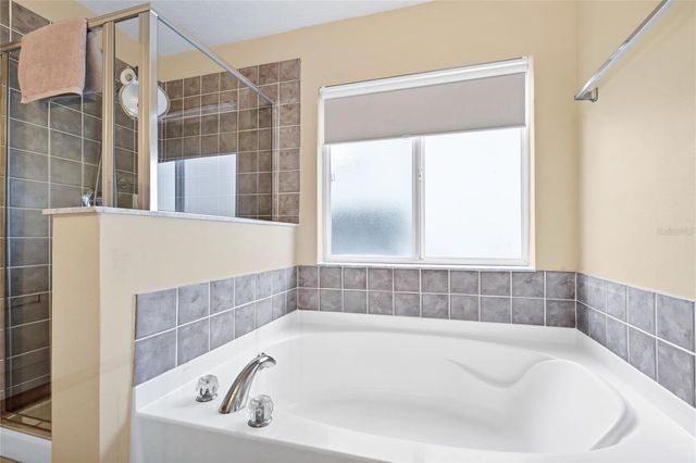 247 VERDI STREET, Davenport, FL 33896