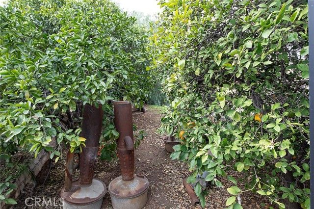 23144 Twin Canyon, Grand Terrace, CA 92313