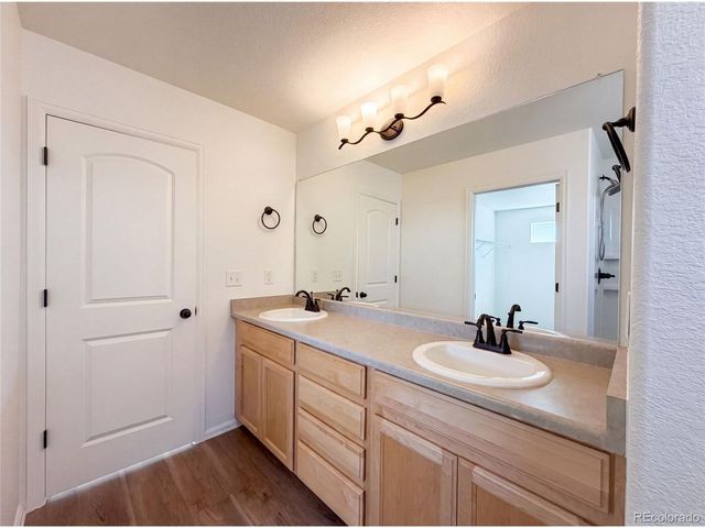 1726 Thrive Dr, Windsor, CO 80550
