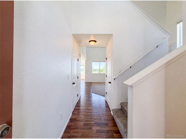 1726 Thrive Dr, Windsor, CO 80550