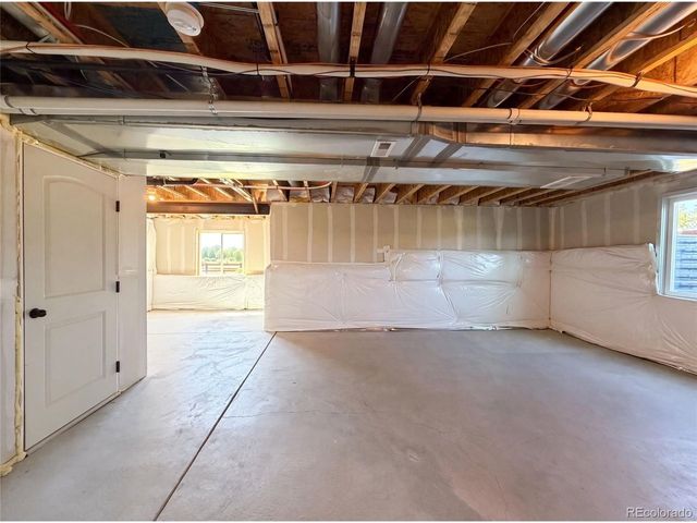 1726 Thrive Dr, Windsor, CO 80550