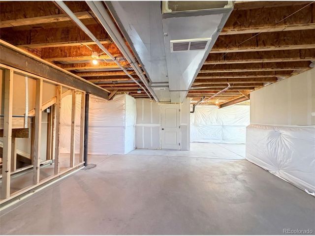 1726 Thrive Dr, Windsor, CO 80550
