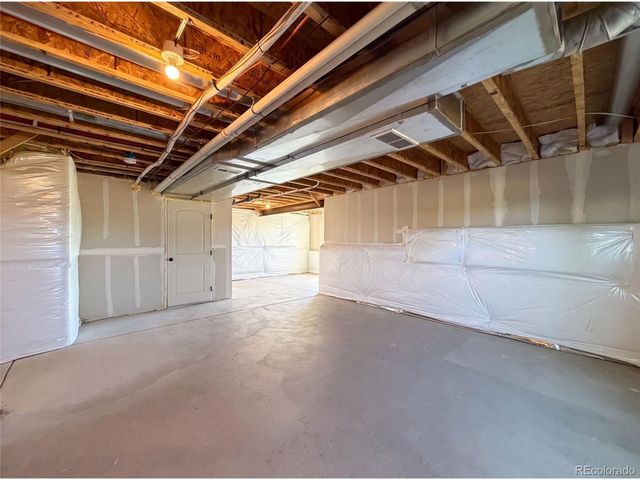 1726 Thrive Dr, Windsor, CO 80550