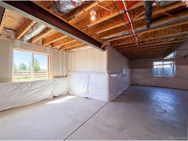 1726 Thrive Dr, Windsor, CO 80550