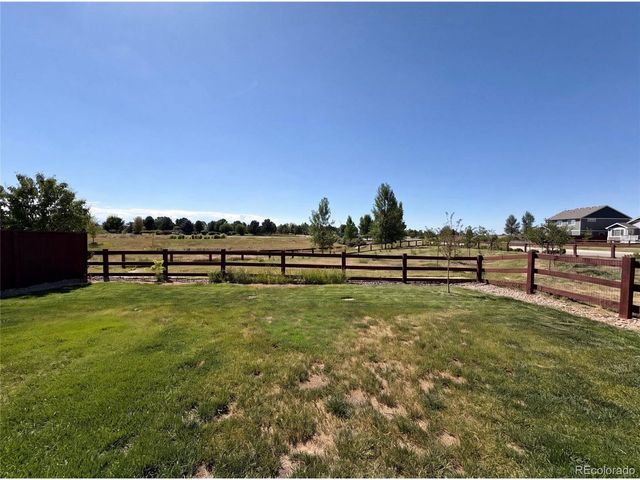 1726 Thrive Dr, Windsor, CO 80550