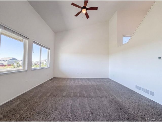 1726 Thrive Dr, Windsor, CO 80550
