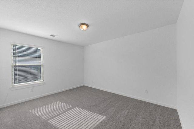 505 Fire Mountain Drive, Waller, TX 77484