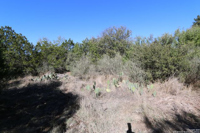 22047 Angostura, San Antonio, TX 78261