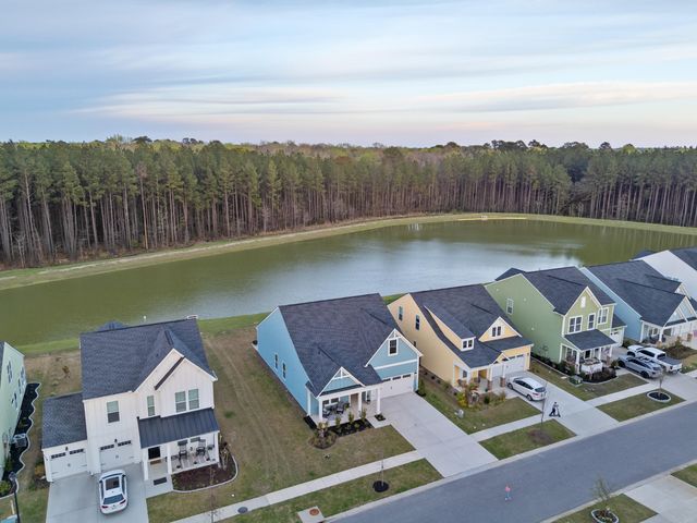 223 Summer Tanager Drive, Ravenel, SC 29470