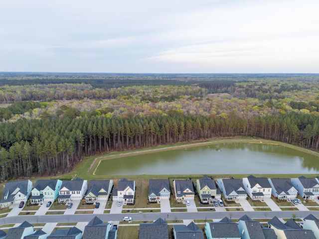 223 Summer Tanager Drive, Ravenel, SC 29470