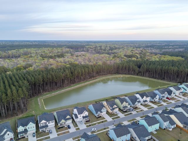 223 Summer Tanager Drive, Ravenel, SC 29470