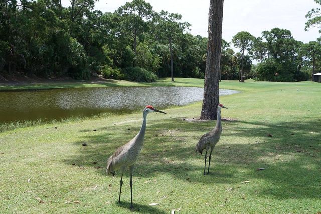 41 Montilla Way, Port St. Lucie, Port St Lucie, FL 34952