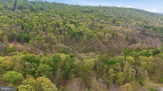 355 HEMLOCK CT, Paw Paw, WV 25434