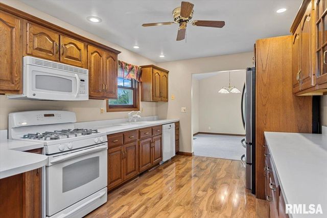 10699 OGDEN Street, Petersburg, IL 62675