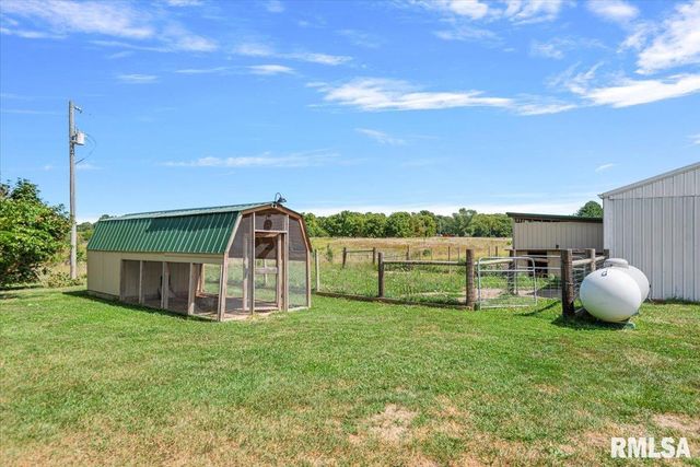 10699 OGDEN Street, Petersburg, IL 62675