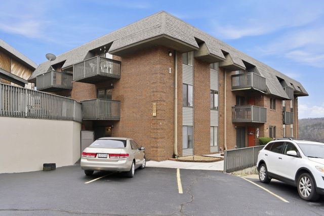 150 Sunken Forest Drive 96, Forsyth, MO 65653