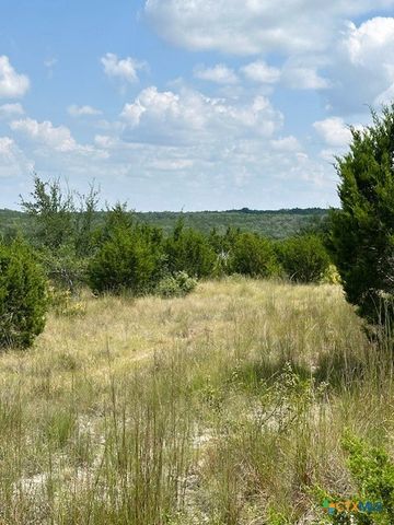 LOT 1 Soaring Eagle, Fischer, TX 78623