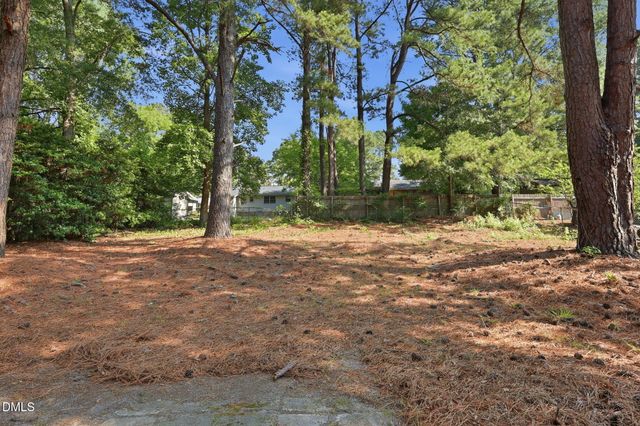 113 E Franklin Street, Zebulon, NC 27597