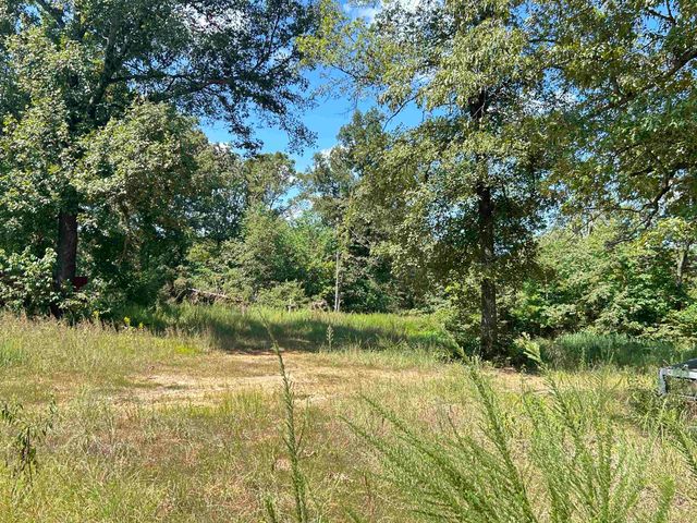 152A E Turkey Pen Road, Highland, AR 72542