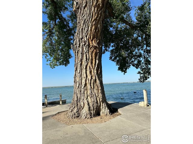 213 Kiowa Rd, Orchard, CO 80649