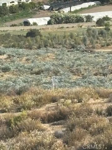 17 Ginter, Hemet, CA 92544