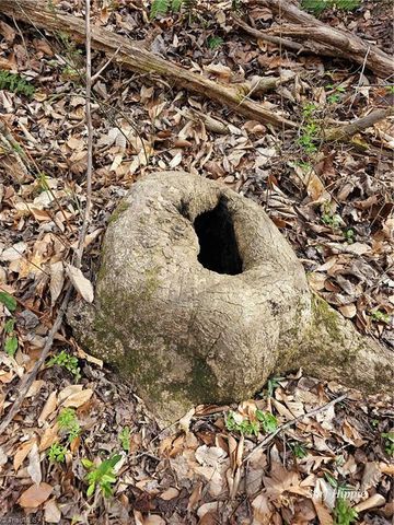 4530 Peeples Road, Oak Ridge, NC 27310