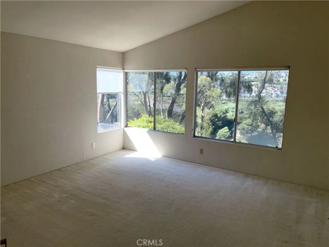 14 Imperatrice, Dana Point, CA 92629