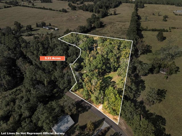 9997 County Road 317 S, Henderson, TX 75654