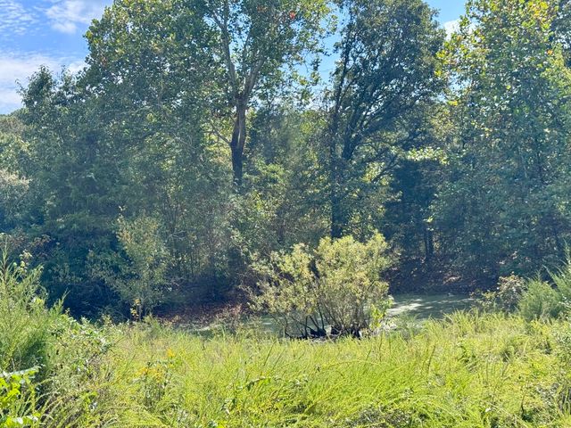 3500 Highway A, Mansfield, MO 65704