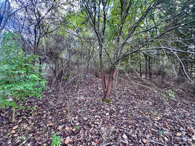 3500 Highway A, Mansfield, MO 65704