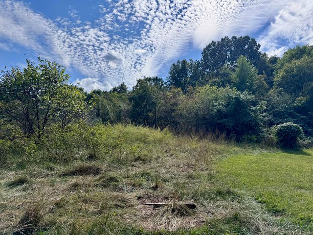 3500 Highway A, Mansfield, MO 65704