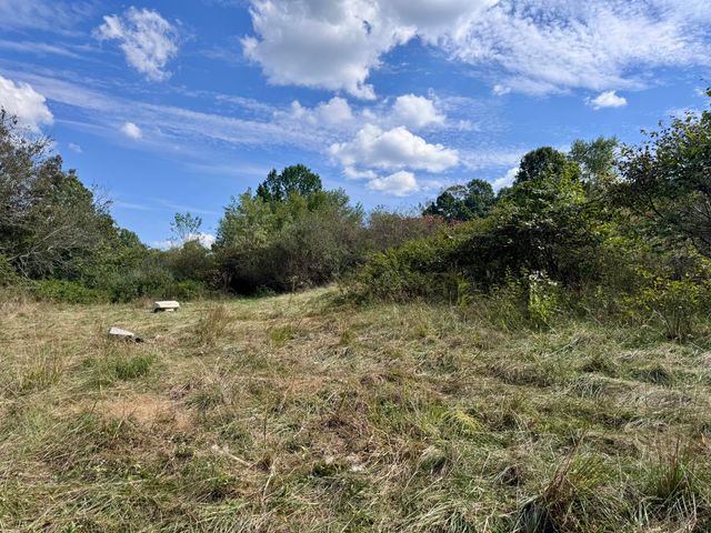 3500 Highway A, Mansfield, MO 65704